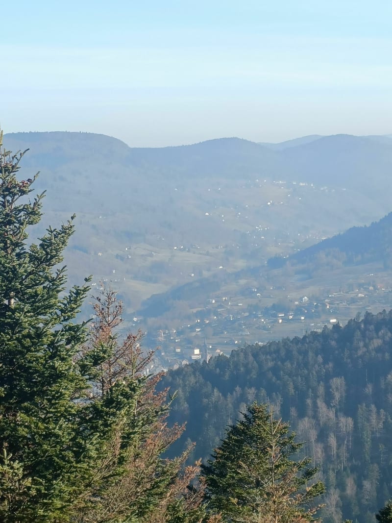 Sentier de L'if - Saint-Maurice-sur-Moselle