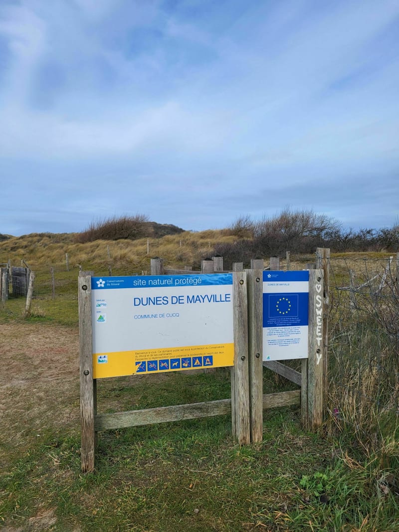 Forêt du Touquet et dunes de Mayville - Cucq