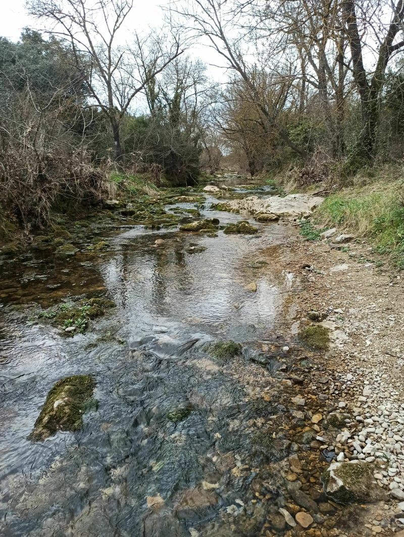 Ballade à la Cadoule au départ de Vendargues - Vendargues