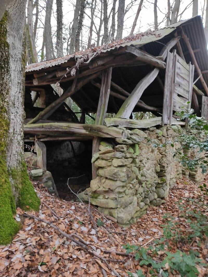 Tour sur le Grand Brion, - Vif