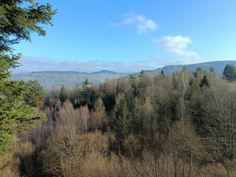 Petite promenade en famille à Fresse-sur-Moselle - Fresse-sur-Moselle