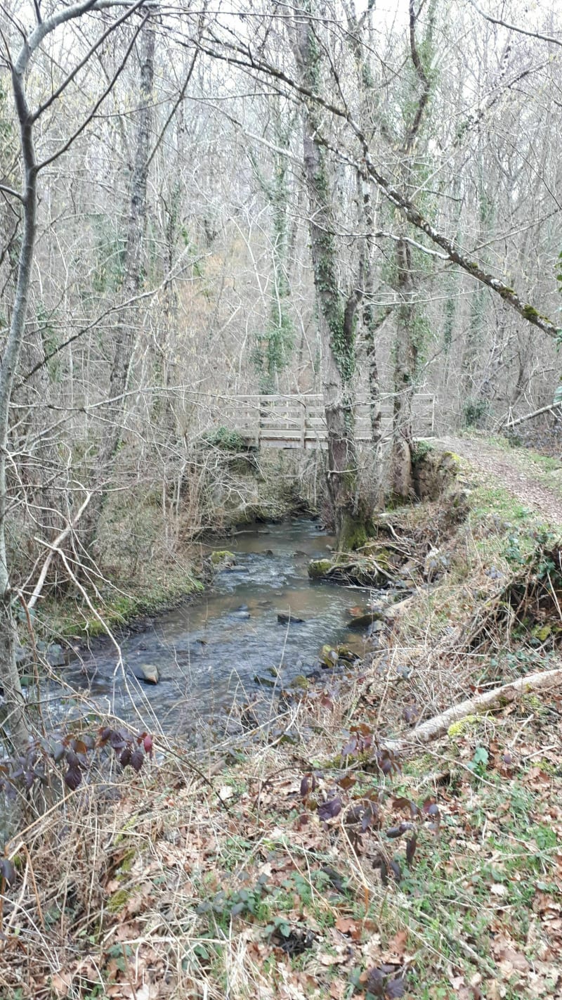 Saint Martin de Jussac - Saint-Martin-de-Jussac