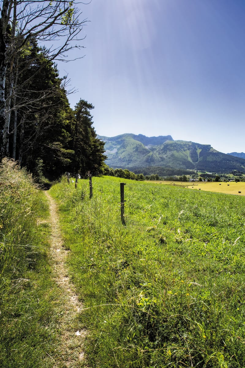 Le chemin des traces - Villard-de-Lans