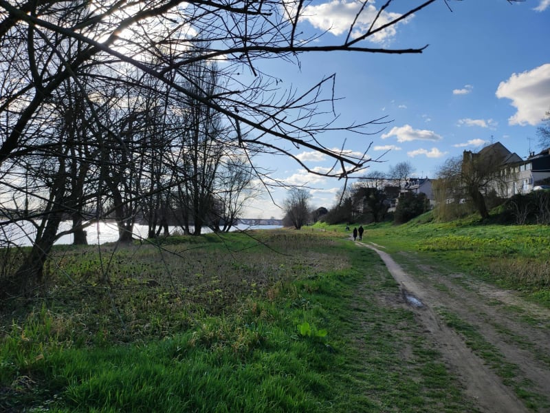Bords de Loire depuis le pont de la Motte - Fondettes