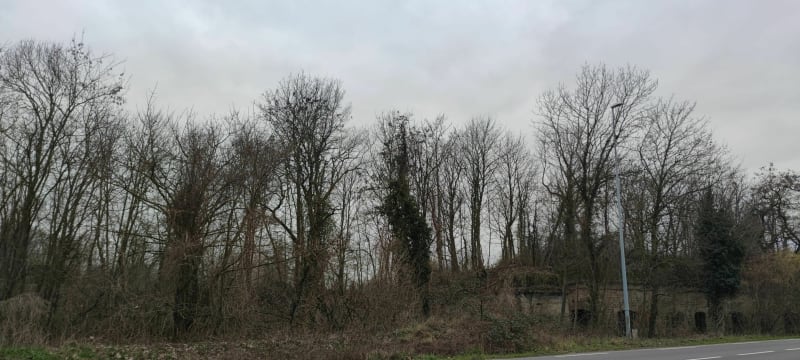 Balade au fort Uhrich à iIkirch. - Illkirch-Graffenstaden