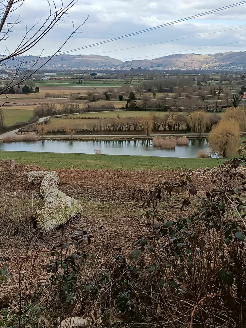 Balade entre Renage et Beaucroissant - Renage