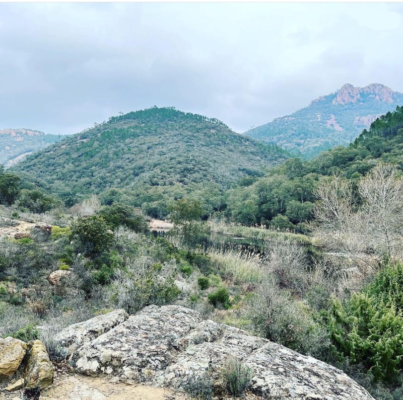 Balade sur le sentier de Roussiveau - Saint-Raphaël