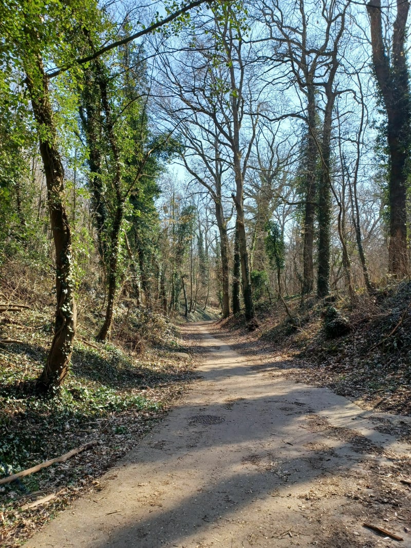 À la découverte du Fond Saint-Antoine à Pontoise - Pontoise