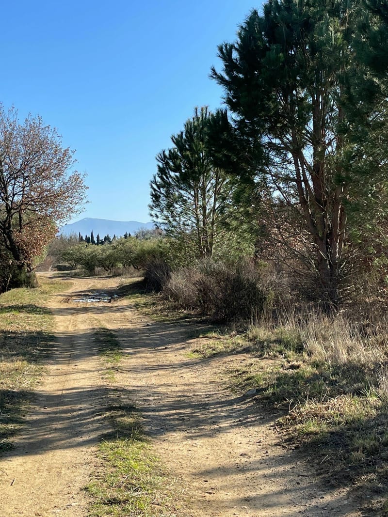 Sur les hauteurs de Pézilla-la-Rivière. - Pézilla-la-Rivière