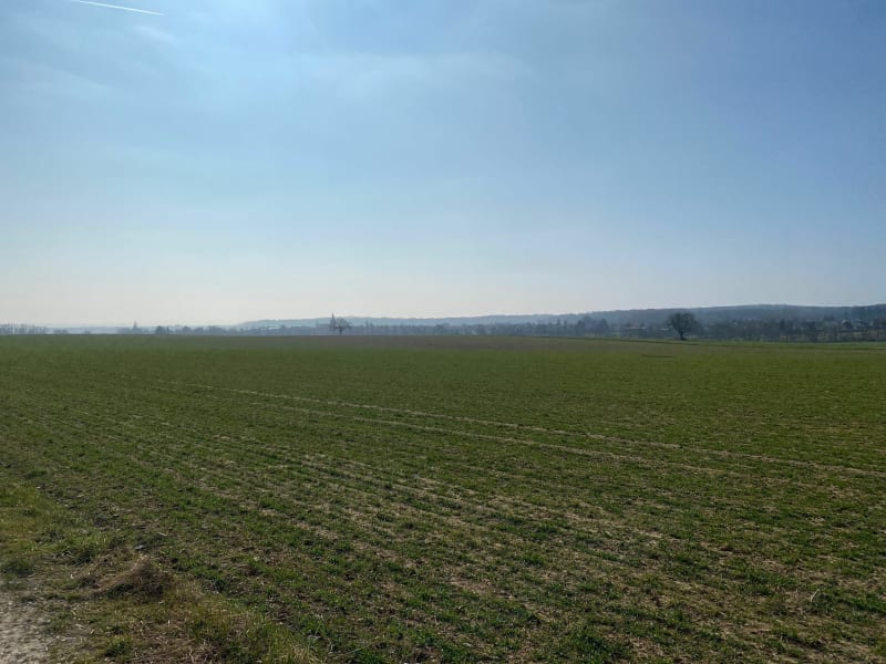 Promenade dans les champs autour d'Aspach-le-Bas - Schweighouse-Thann