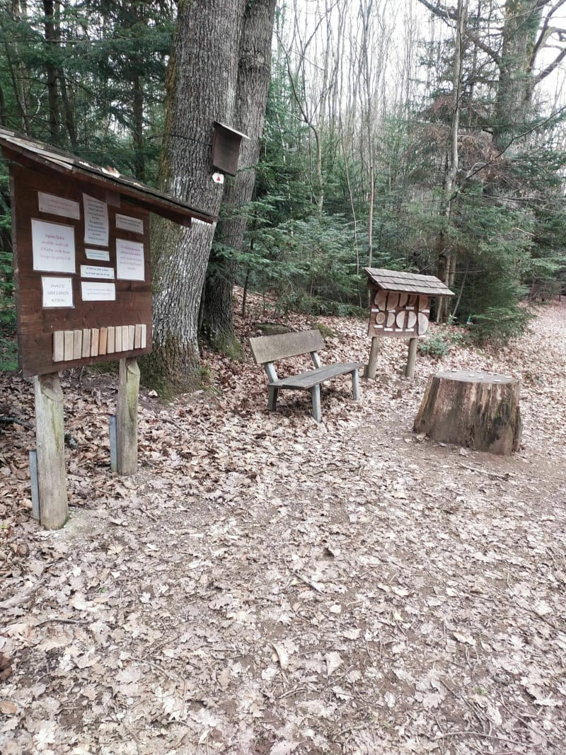 De Berrwiller à Wattwiller, balade familiale - Berrwiller