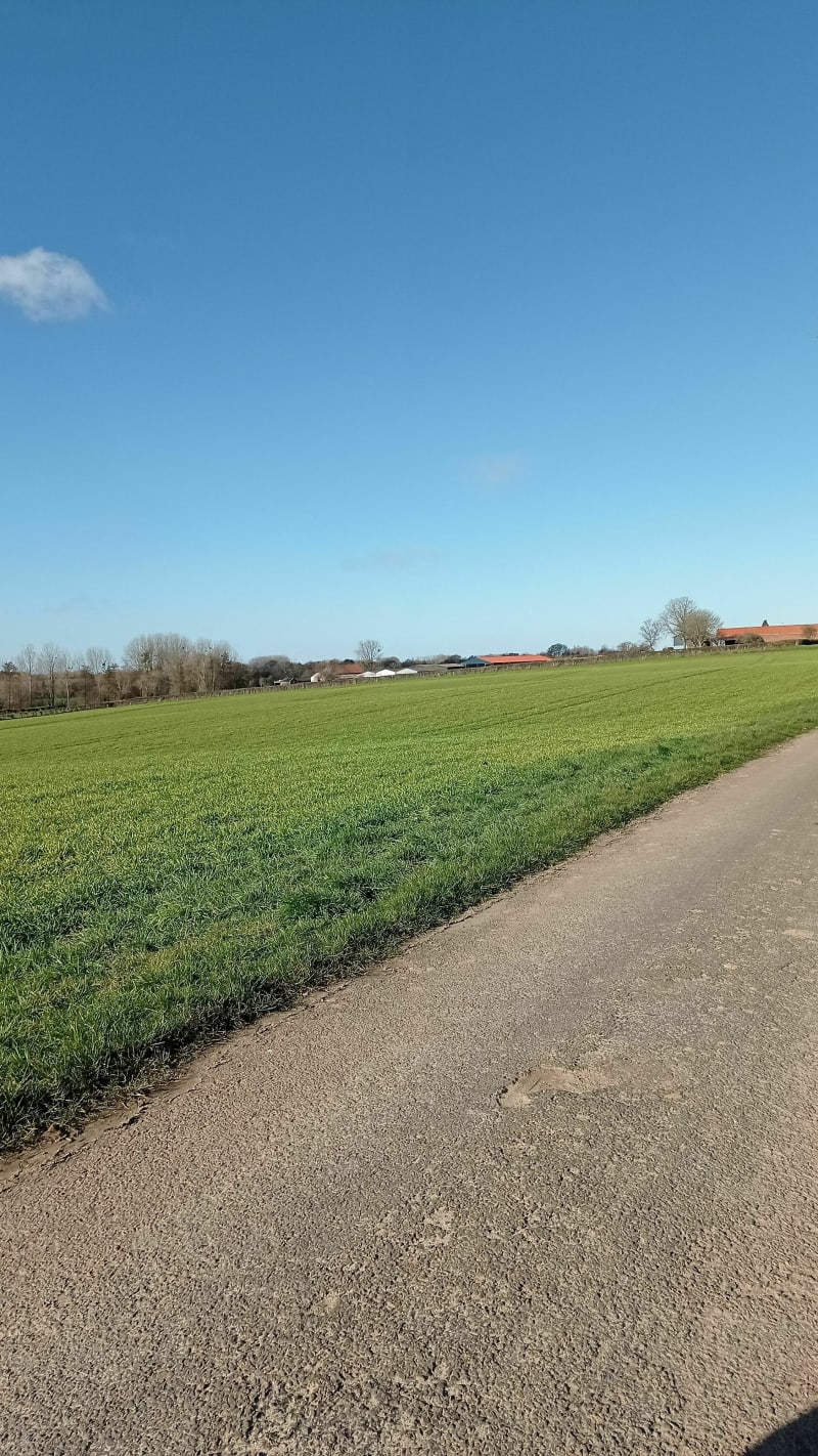 Les plaines de Poix-du-Nord - Englefontaine