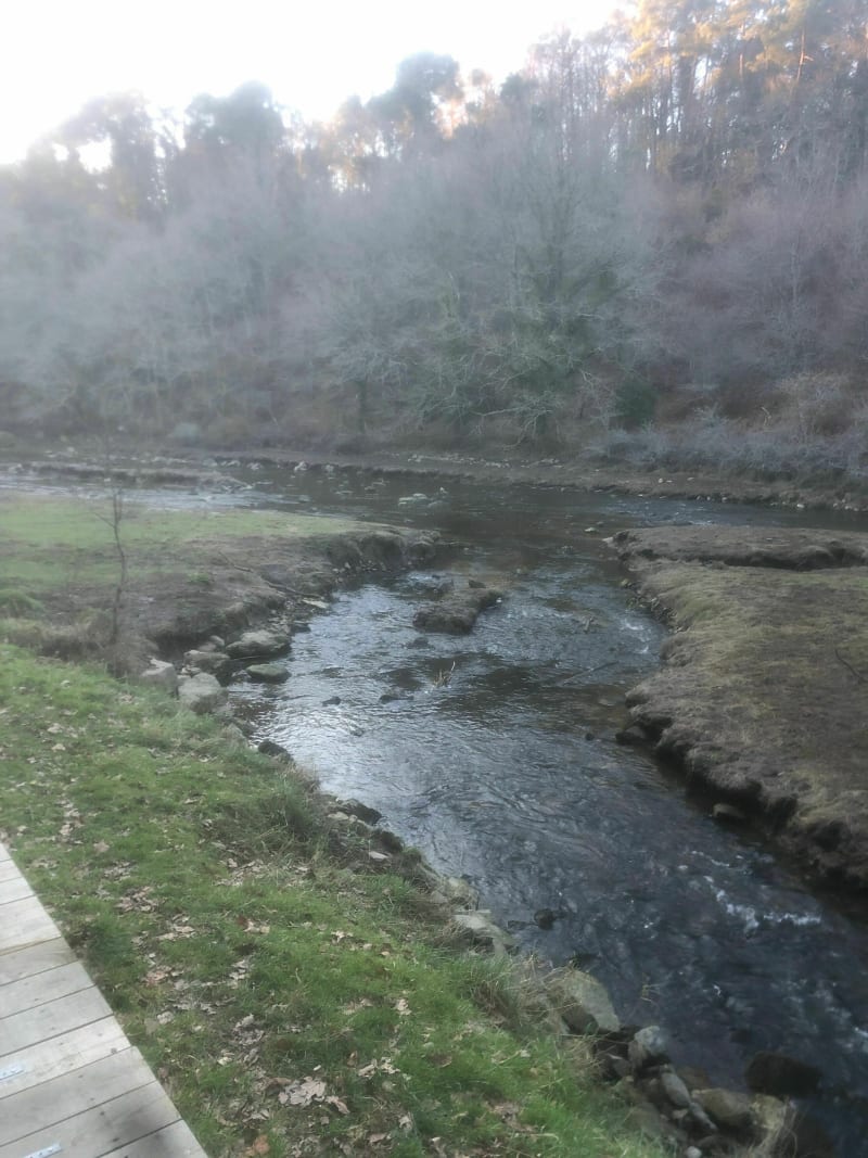 Promenade dominicale du Pont du Sal - Plougoumelen