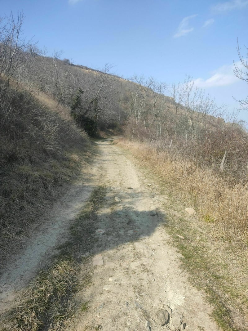 Plateau de Gergovie - La Roche-Blanche
