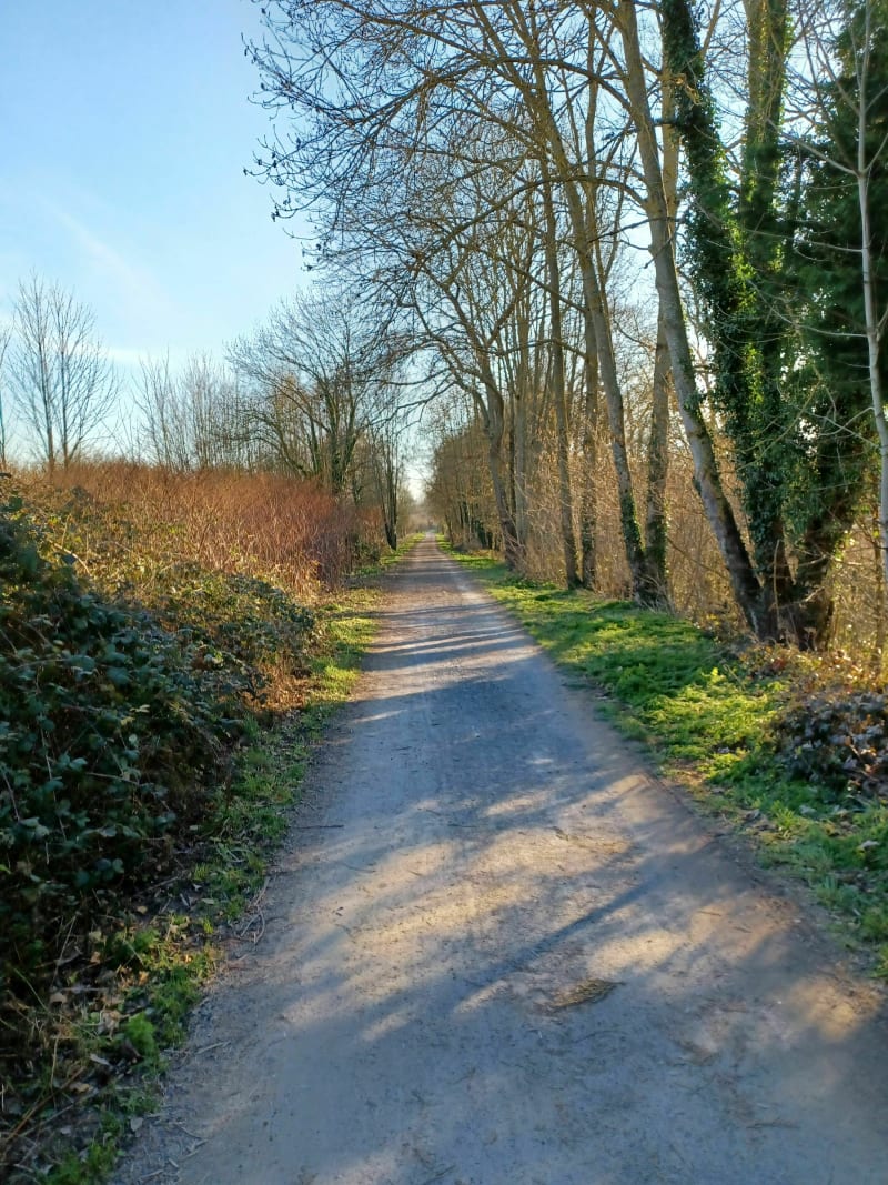Promenade près des jardins de la plume - Abbeville