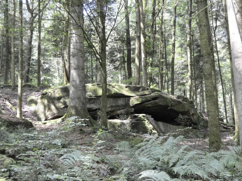 Entre pierres de Roûges et forêt… - Fougerolles-Saint-Valbert
