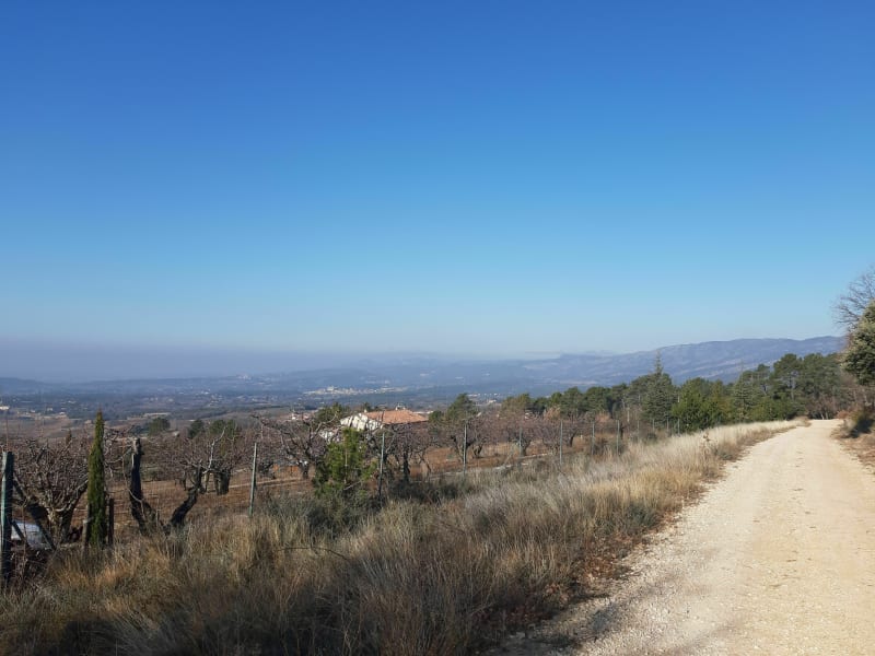 Promenade dans les garrigues de Mazan - Mazan