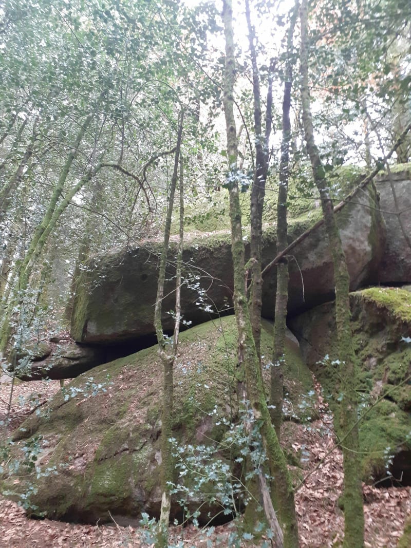 Magnifique randonnée sur le sentier découverte autour de Guéret - Guéret