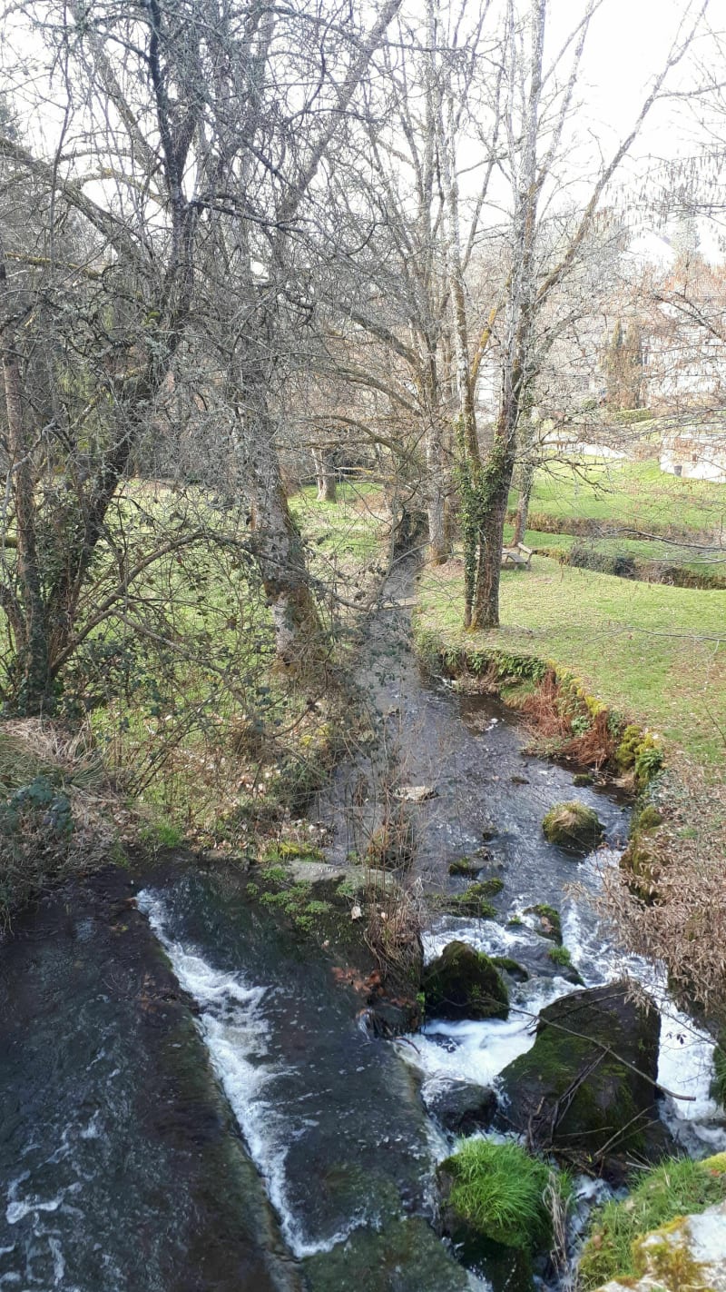 Promenade dans la fôret de Nieul - Nieul