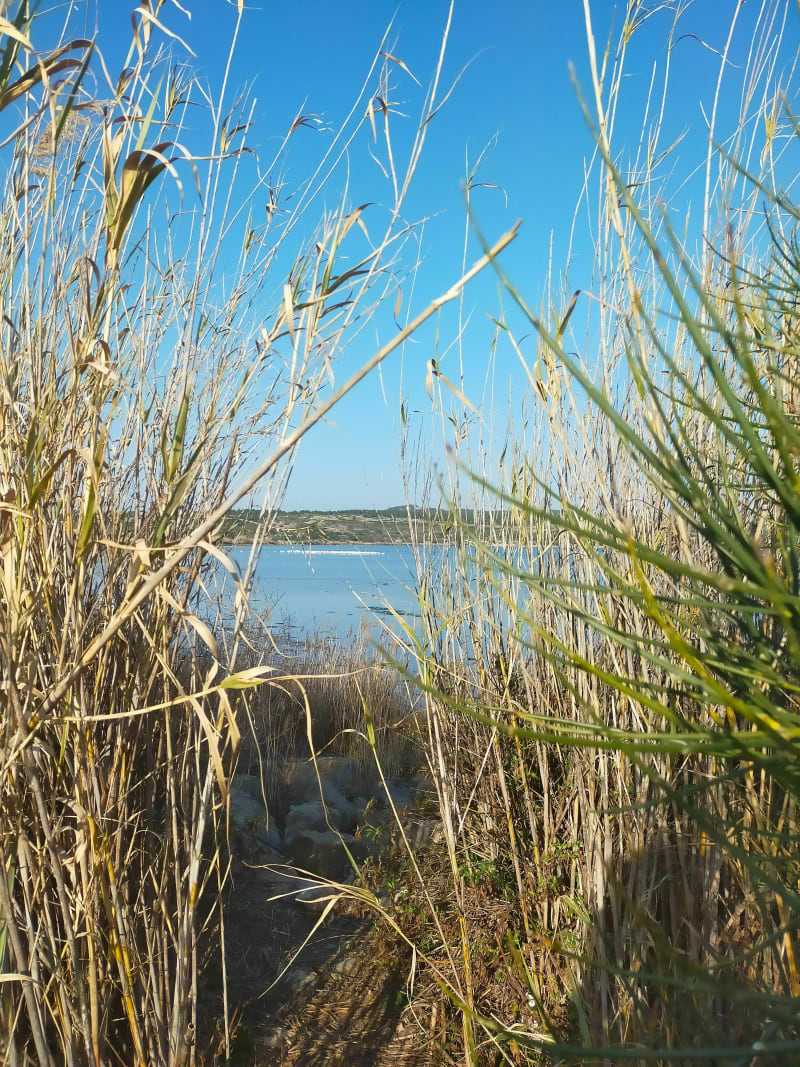 La petite Camargue à St Chamas - Saint-Chamas