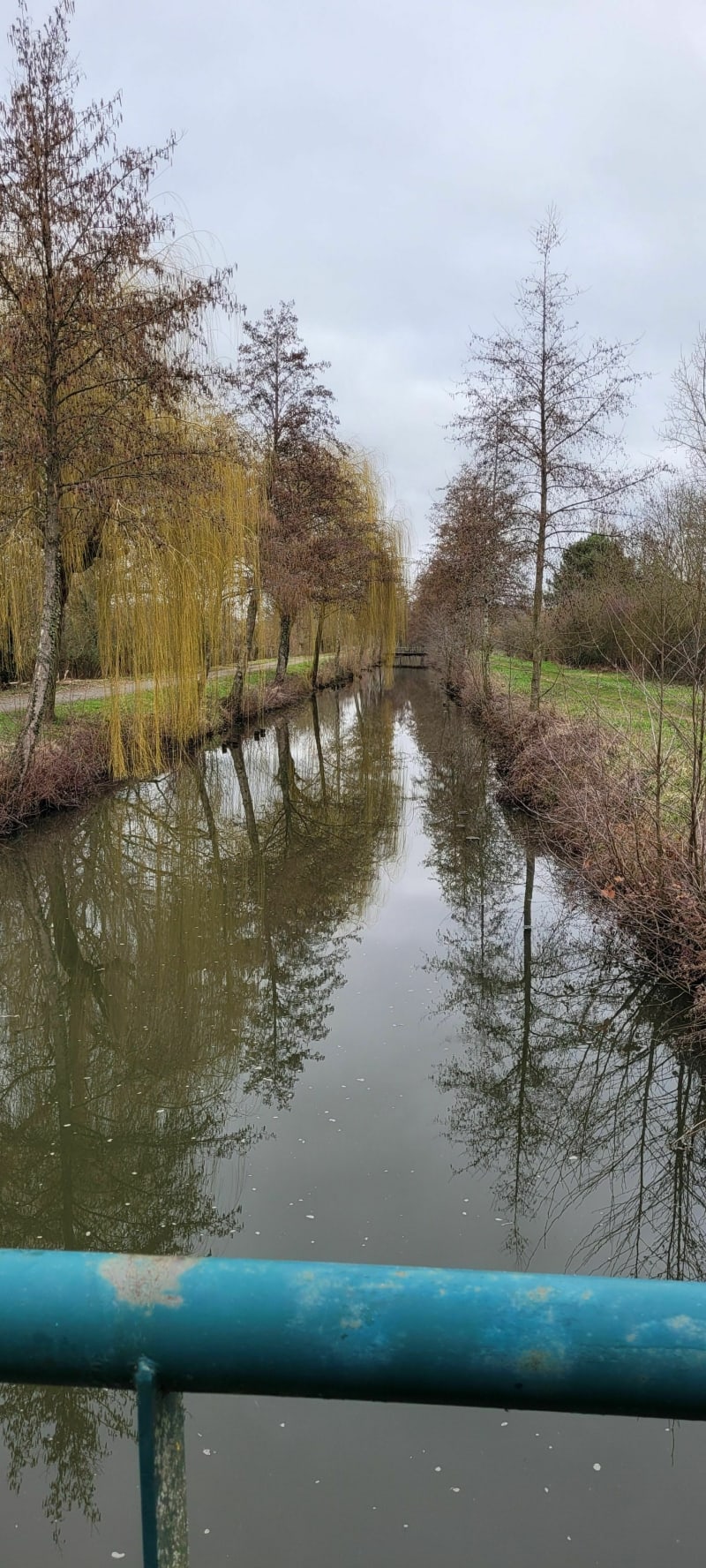 La découverte de Longué-Jumelles - Longué-Jumelles