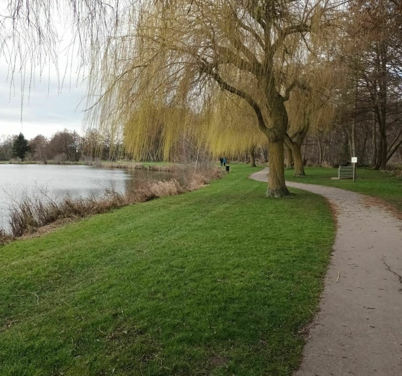 Promenade autour des étangs de Damville - Mesnils-sur-Iton