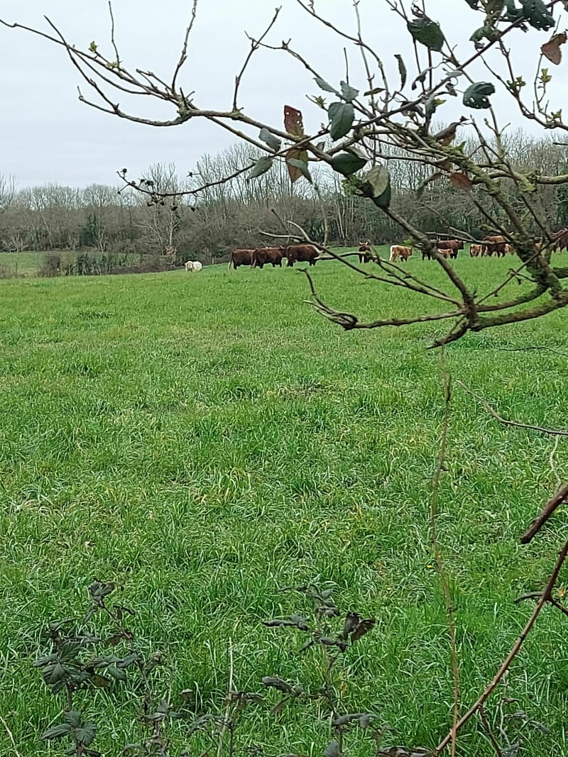 Balade autour de Breuil-Barret - Breuil-Barret