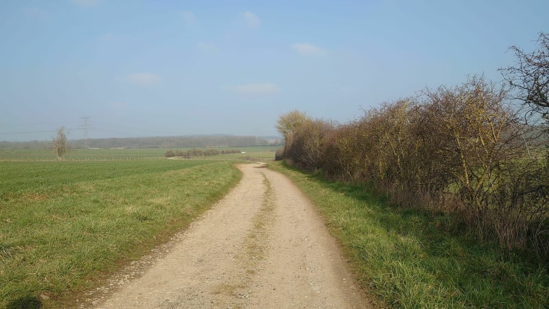 Rando dans les bois et la campagne derrière Lenoncourt - Lenoncourt