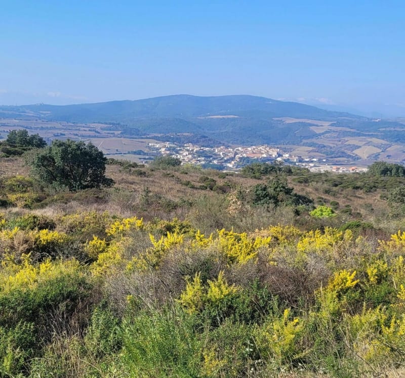 Wandeling vanuit Montner - Montner