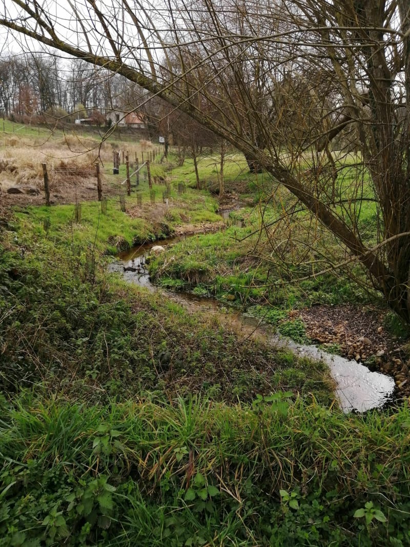 Balade Fontenaise familiale agréable - La Fontaine-Saint-Martin