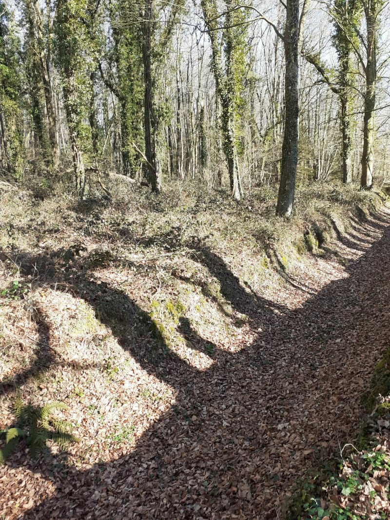 Feins : l'étang du Boulet et chemin de la Rigole. - Feins