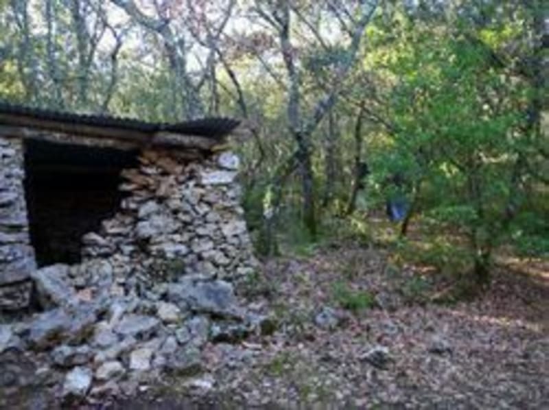 Balade entre dolmens et cèdres sur les hauts de Barjac - Barjac