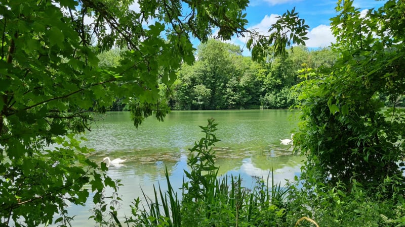 Rando avec vue panoramique sur la vallée de la Seine - Poses