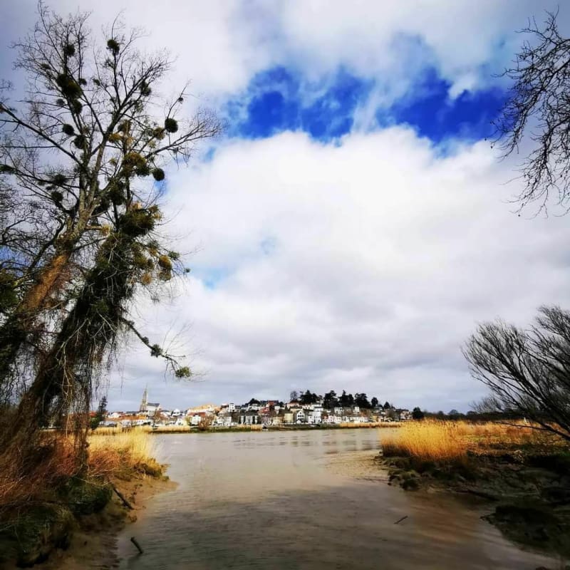 De Basse-Indre à la Roche Ballue - Indre