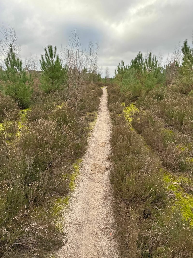 Rando dans les bois au sud de Le Mans - Mulsanne