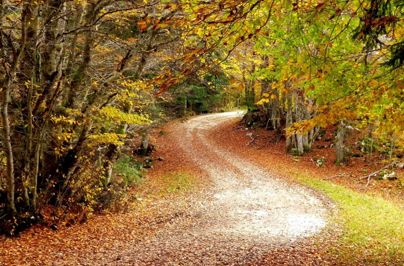 Boucle nature sur le Plateau du Retord - Haut Valromey