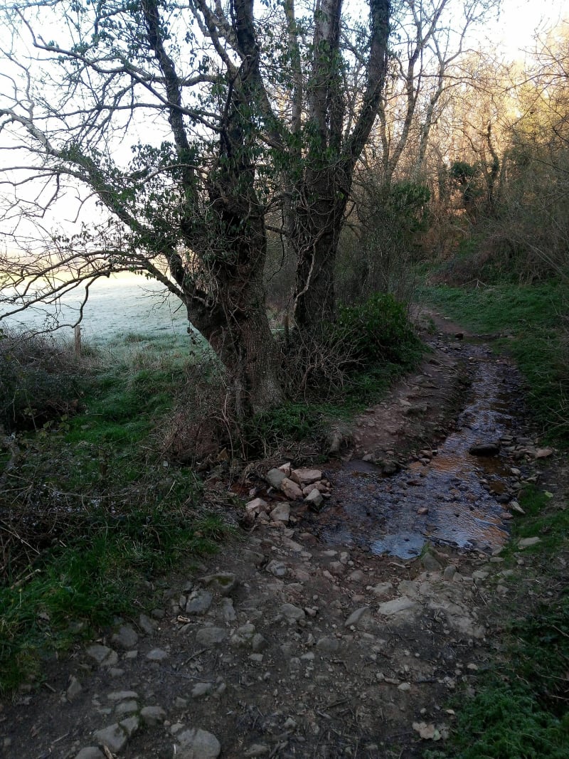 Sur le Sillon de Saint Etienne de Montluc - Saint-Étienne-de-Montluc