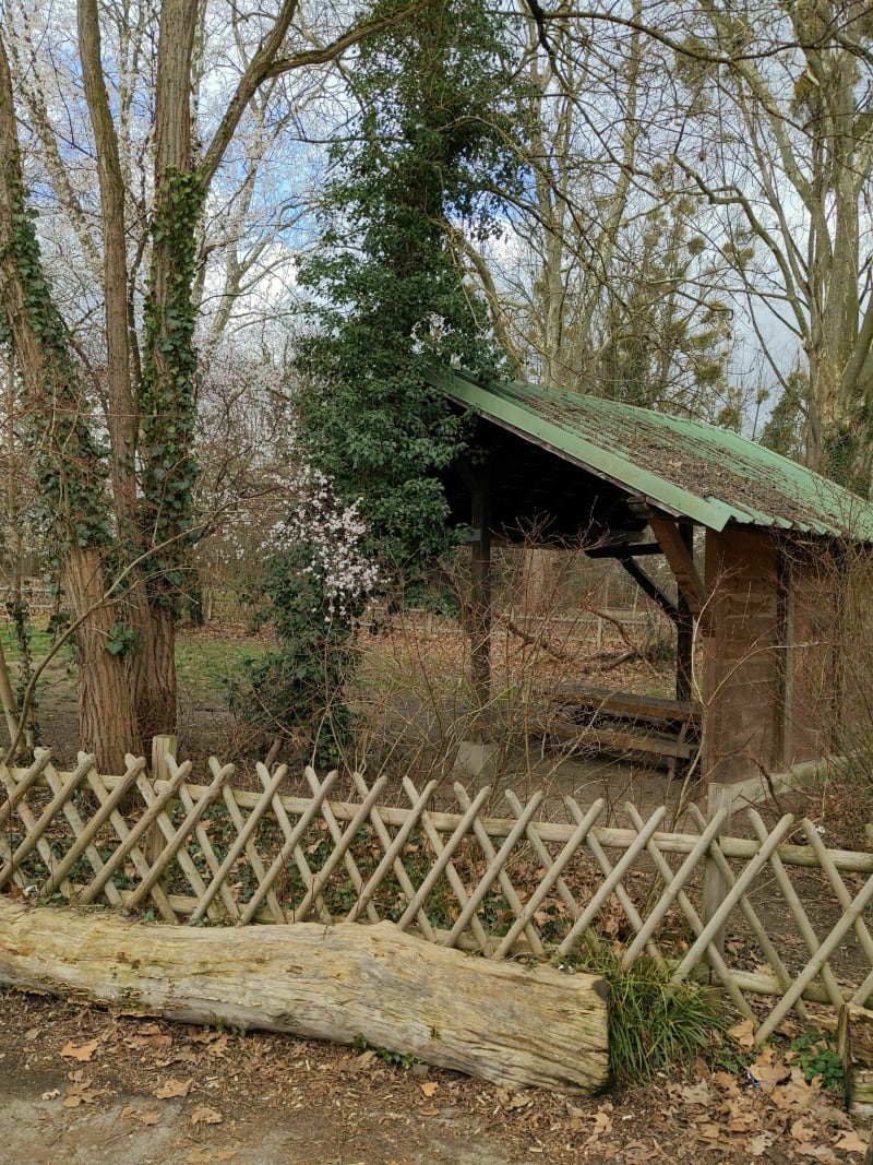 Foret de la Ronertsau par l'etang du Rohrkopf - Strasbourg