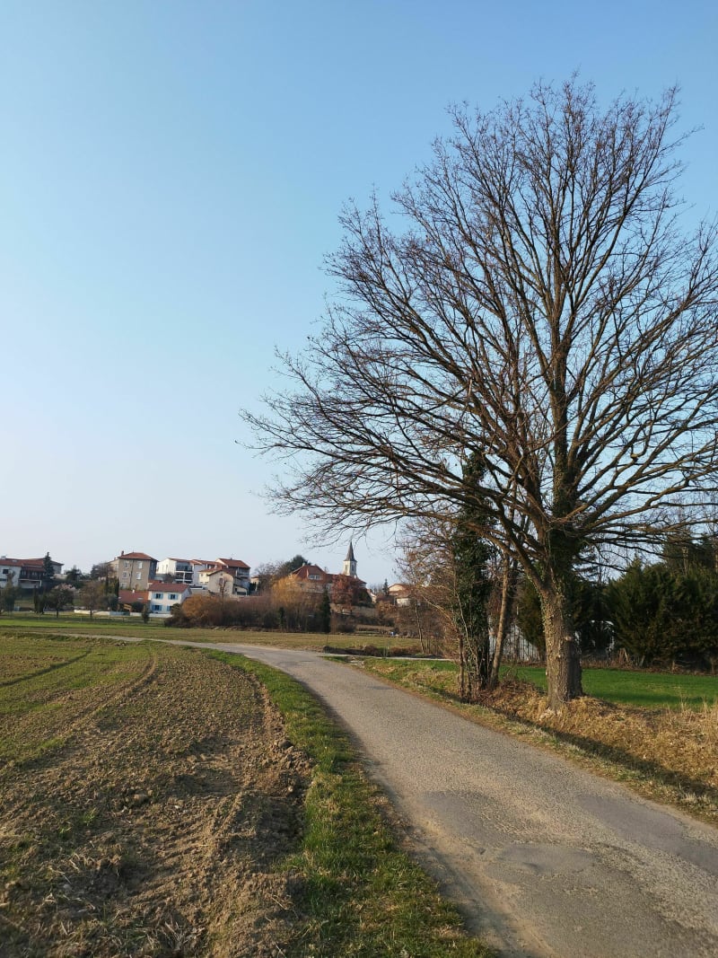 Boucle à VTT, autour de Saint-Cyprien - Saint-Cyprien