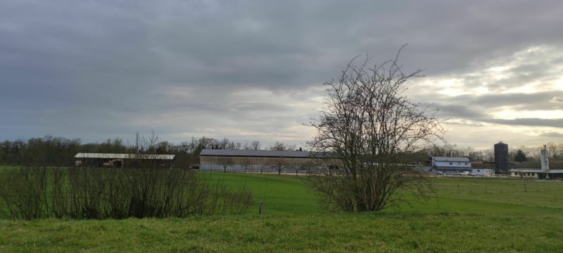 Balade dans la forêt et champ d'Ilkirch - Illkirch-Graffenstaden