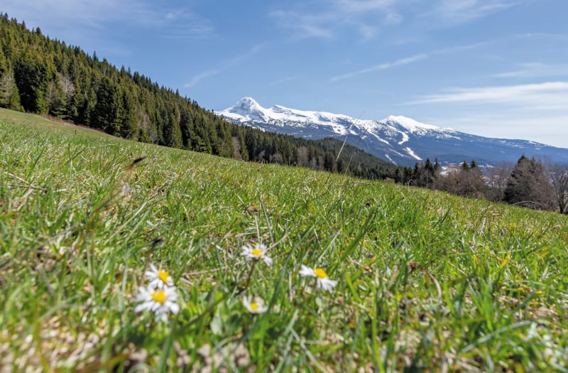 La Royale - Corrençon-en-Vercors
