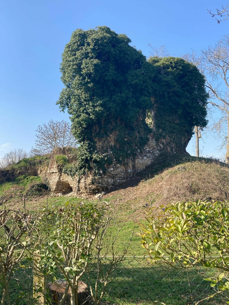 Ballade dans les champs de Bonnieres - Bonnières-sur-Seine