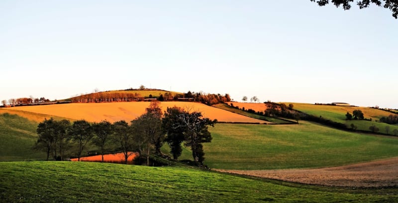 Evasion en VTC ou en Gravel autour de l'Allier et Vic-le-Comte depuis Montpeyroux - Montpeyroux