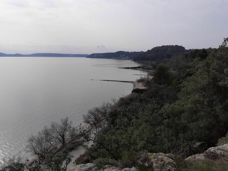 Balade dans les pinèdes - Istres