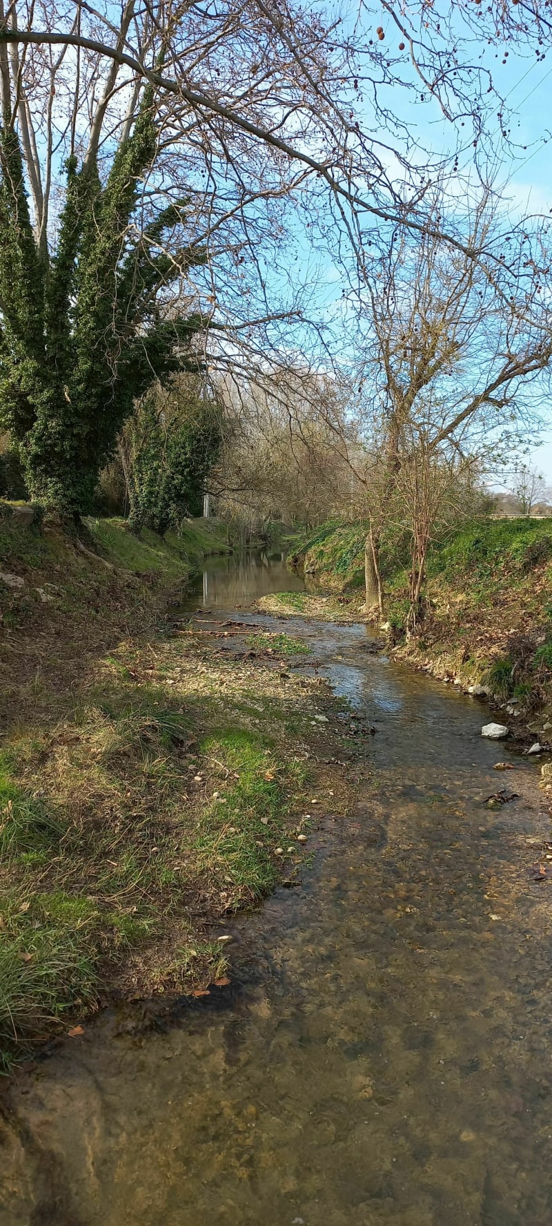 Le long du canal Philippe-Lamour - Mudaison