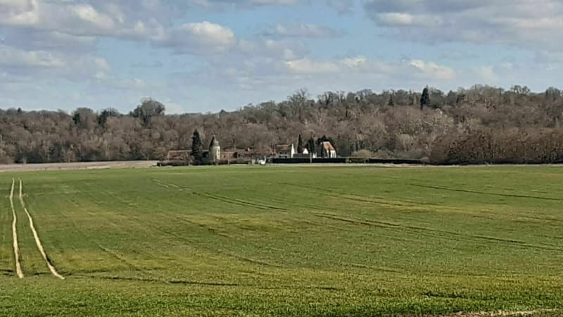 Petite Boucle d'Évry-Grégy-sur-Yerre - Évry-Grégy-sur-Yerre