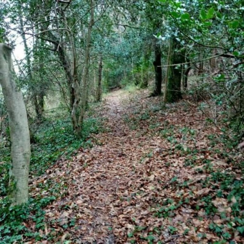 Rando autour de Guiler-sur-Goyen - Guiler-sur-Goyen
