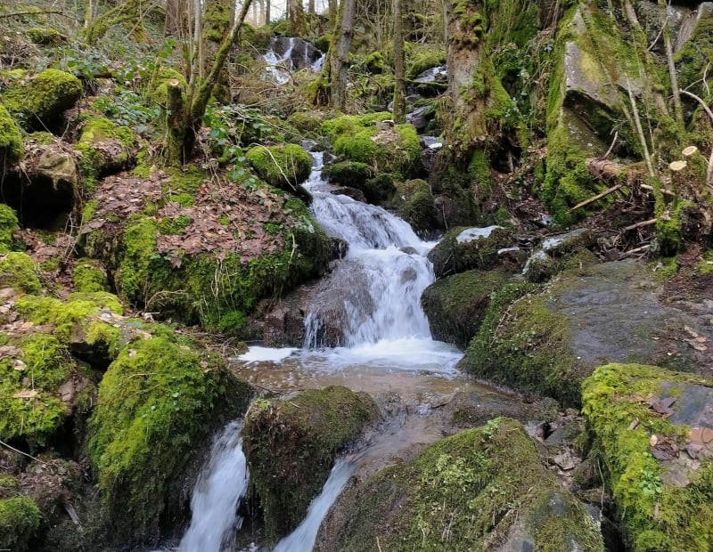 Wandeling naar de Saut de la Bourrique - Gérardmer