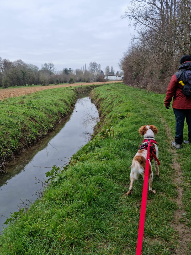 Balade au départ d'Aire-sur-la-Lys - Aire-sur-la-Lys