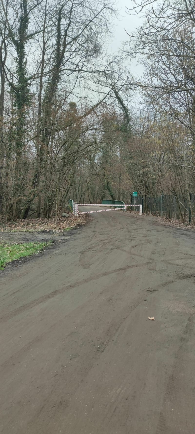 Une chouette balade en famille dans la forêt d'Ilkirch - Illkirch-Graffenstaden